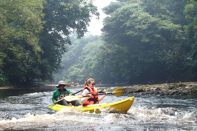 Fun Filled Kayaking Adventure in Kuching - Paddling Basics: What Safe Guidance Means on the Water
