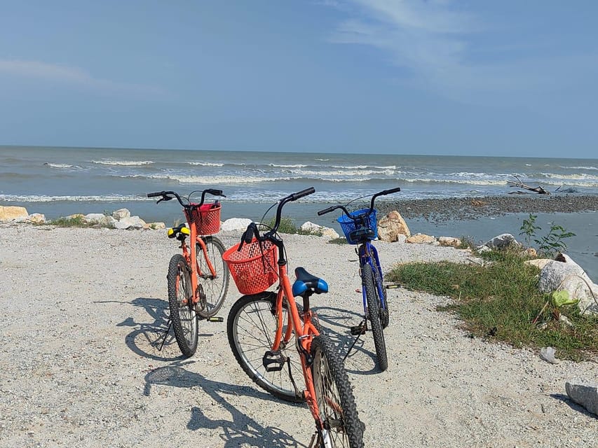 George Town: Balik Pulau Countryside Morning Cycling Tour - Who this Balik Pulau morning cycle is best for