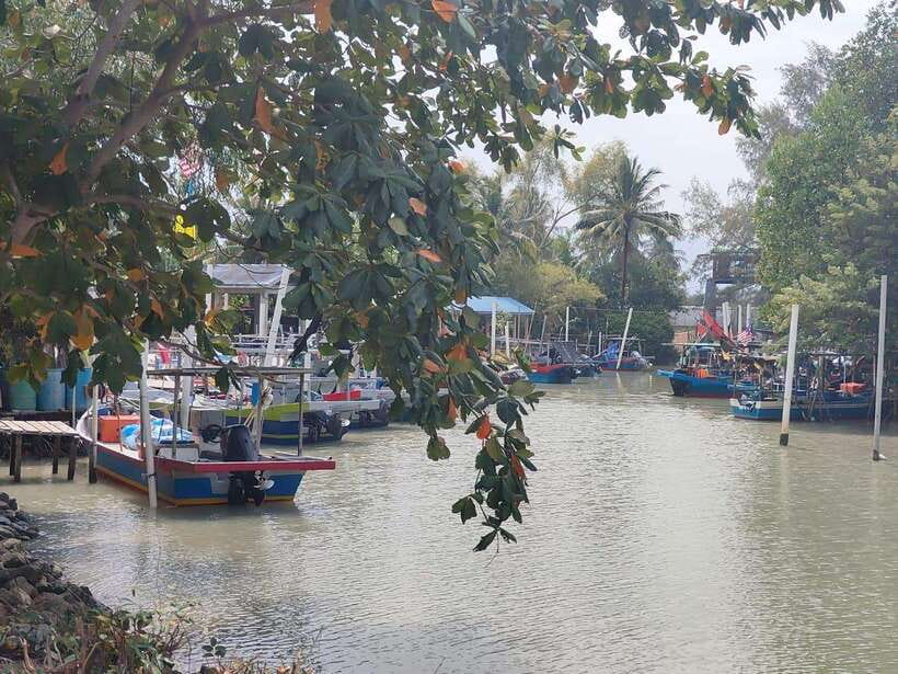George Town: Balik Pulau Countryside Morning Cycling Tour - Break time and snacks: keeping energy steady in the Penang morning
