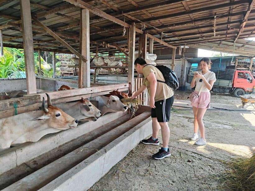 George Town: Balik Pulau Countryside Morning Cycling Tour - Your guide and driver: what the names tell you about the experience
