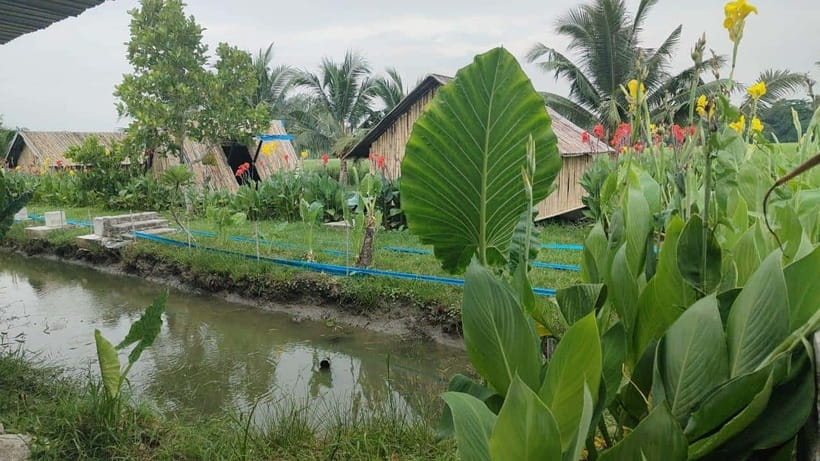 George Town: Balik Pulau Countryside Morning Cycling Tour - Price and value: what $47 actually buys you