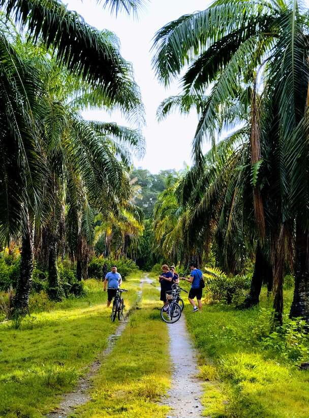 George Town, Penang: Malay Countryside Cycling - Key reasons this Penang cycling tour hits the spot