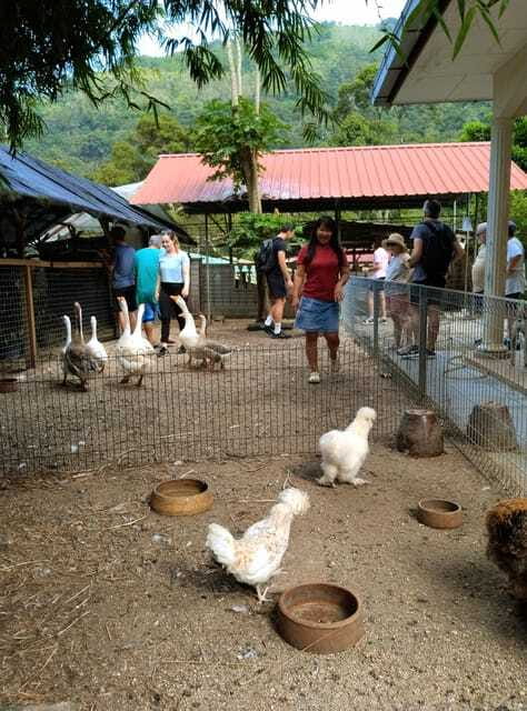 George Town, Penang: Malay Countryside Cycling - Who this tour suits best, and who should skip it