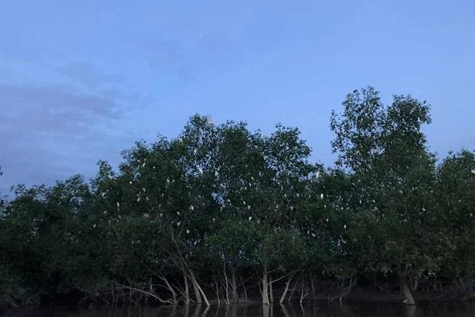 Glowing Kuala Selangor Firefly Tour - Bukit Melawati: the hill views and the monkey factor