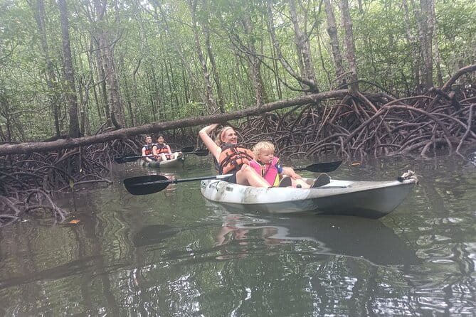 Half-day 4 Hours Kilim Mangrove Kayaking (Without hotel pickups) - Key highlights you should know