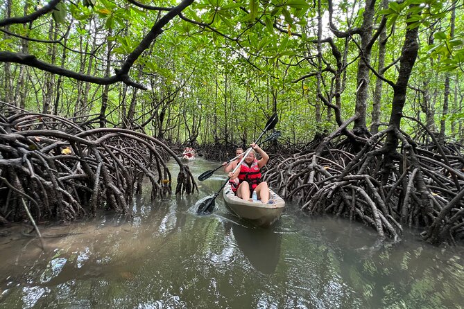 Half-Day Mangrove Kayaking in Langkawi - Getting Oriented: Where You Meet and How the Timing Really Works