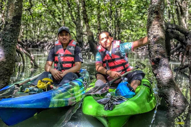 Half-Day Mangrove Kayaking in Langkawi - What You Do on the Water: From Main River to Mangrove Jungles