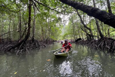 Half-Day Mangrove Kayaking in Langkawi