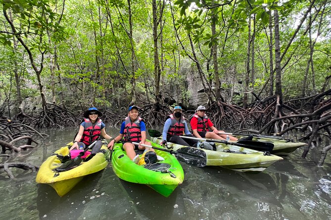 Half-Day Mangrove Kayaking in Langkawi - Who This Half-Day Mangrove Kayak Trip Is Best For