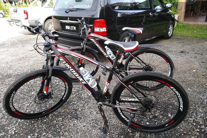 Half-Day Penang Countryside Cycling Tour - The Sungai Rusa Ride: Plantations, River Country, and Aquaculture Talk