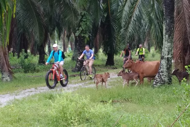 Half-Day Penang Countryside Cycling Tour - Getting There From George Town: The 7:00 am Start
