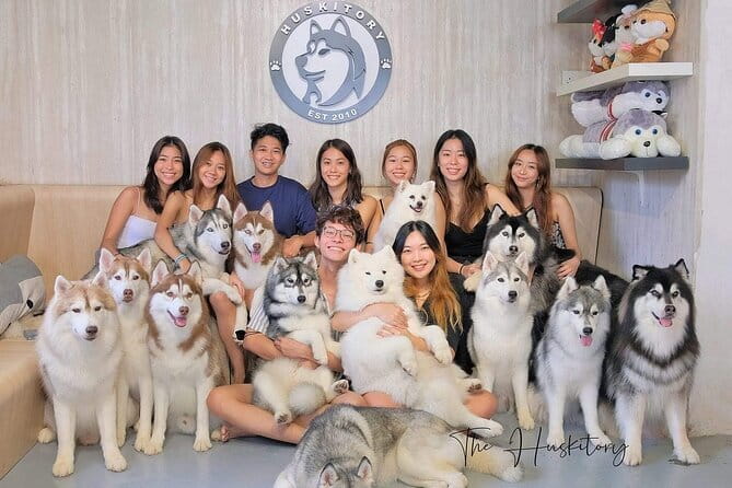 Huskitory Connecting People and Dogs - Key things that make Huskitory worth your hour