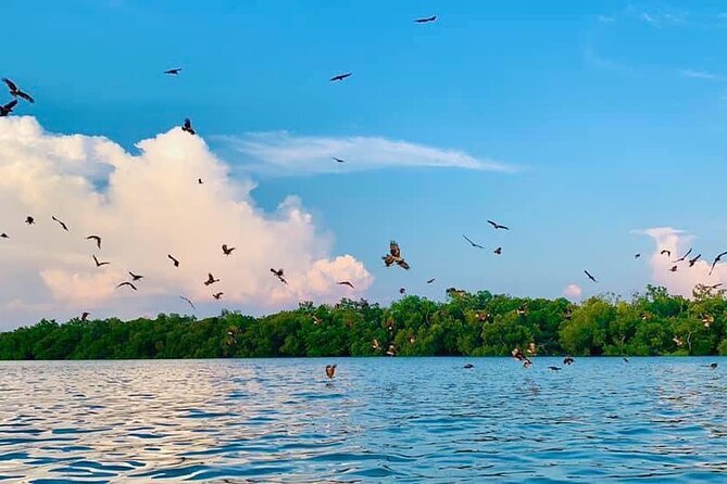 Instagrammable Kuala Selangor Sky Mirror Tour with Transfer - Sasaran Beach photo tips that actually help in the final shot