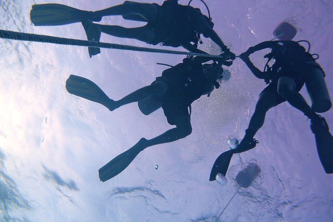 Join us for a RAID Try Dive in Kota Kinabalu - Lunch Between Sessions: Not a Side Detail