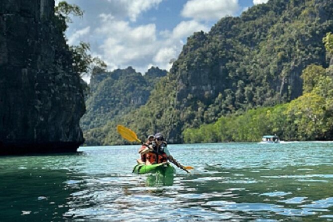 Kayaking Kilim Mangrove Geoforest - Bat cave time: what to expect in the 20 minutes