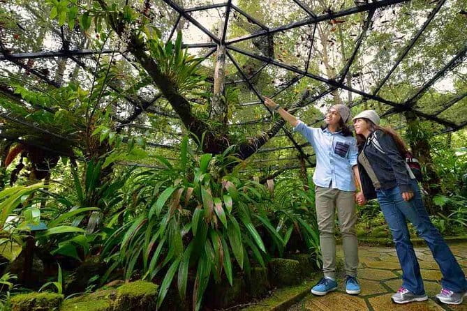 Kinabalu National Park Tour - The 7:15 am drive that sets the tone
