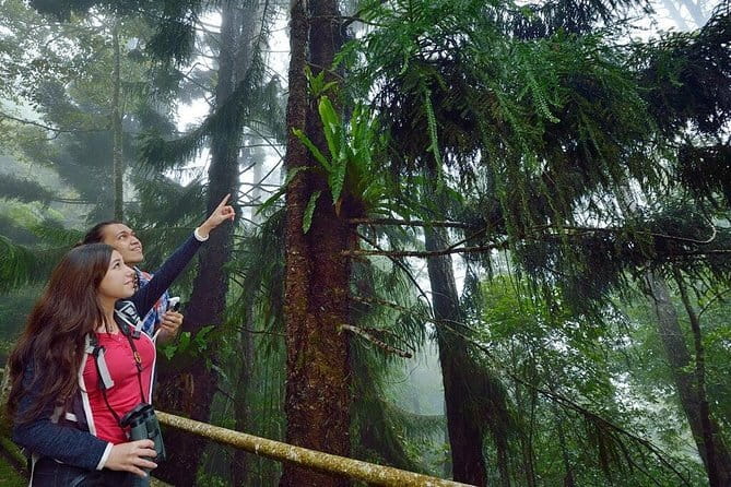 Kinabalu National Park Tour - Nabalu Fruit Market: quick, fun, and good for snacks