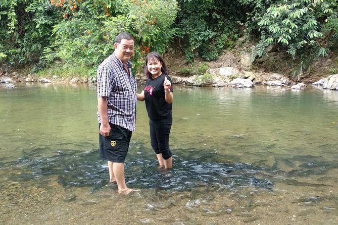 Kinabalu Park Day Trip - Key highlights