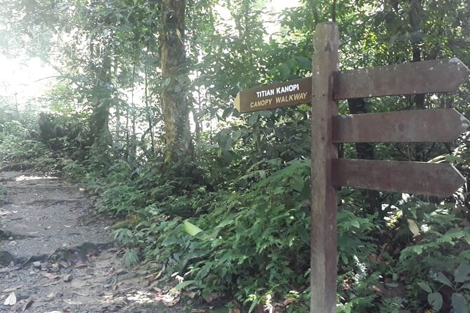 Kinabalu Park Day Trip - Kinabalu Park entrance included, but manage your expectations
