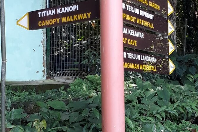 Kinabalu Park Day Trip - Price and value: what $115 buys you on a private day