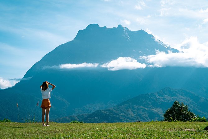 Kinabalu Park & Poring Hot Spring & Canopy Walk - Kinabalu National Park Botanical Walk at 1,500m