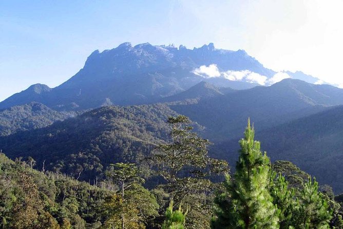 Kinabalu Park & Poring Hot Spring Tour - Key Points That Matter Before You Go