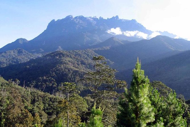 Kinabalu Park & Poring Hot Spring Tour - Mount Kinabalu, Minus the Climb: The Real Appeal of This Day Trip