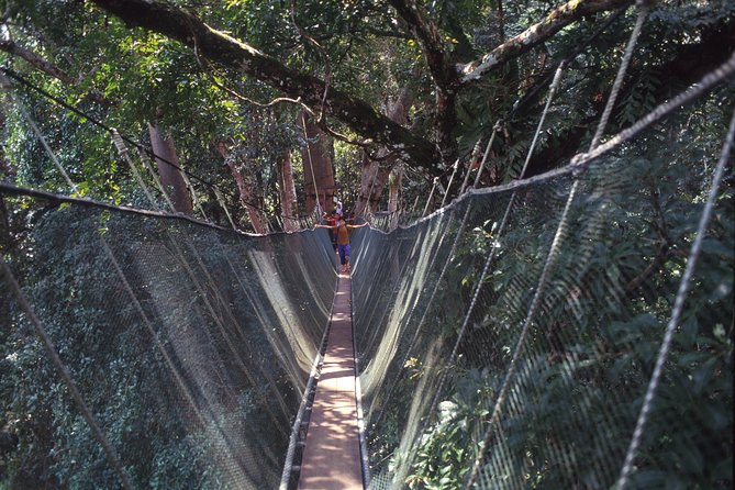 Kinabalu Park & Poring Hot Spring Tour - Rafflesia Flower Stop: Possible, Not Guaranteed, and Often Extra