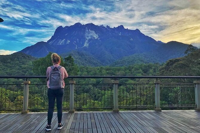 Kinabalu Park & Poring Hot Springs Tour with Desa Dairy Farm - A Small-Group Day With Easy Hotel Pickup From Kota Kinabalu