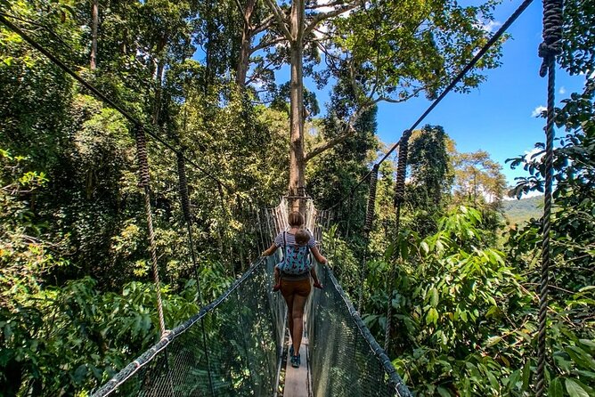Kinabalu Park & Poring Hot Springs Tour with Desa Dairy Farm - Poring Hot Springs, an Included Open-Air Soak