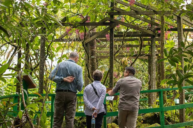 Kinabalu Park & Poring Hot Springs Tour with Desa Dairy Farm - Nabalu Fruit Market Stop, Quick and Convenient