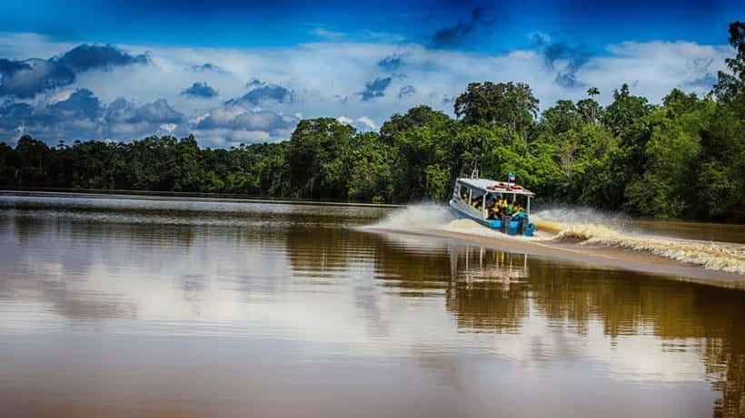 Kinabatangan River Trip from Sandakan with Lunch Included - Why Kinabatangan is worth your full day