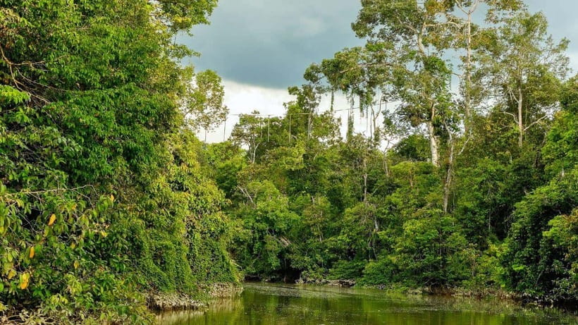 Kinabatangan River Trip from Sandakan with Lunch Included - Price and value for $204 per person with lunch included