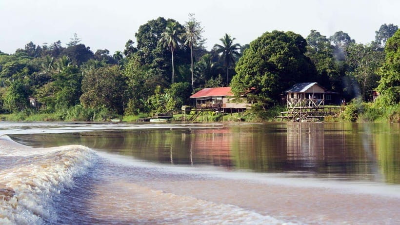Kinabatangan River Trip from Sandakan with Lunch Included - Who this tour suits best