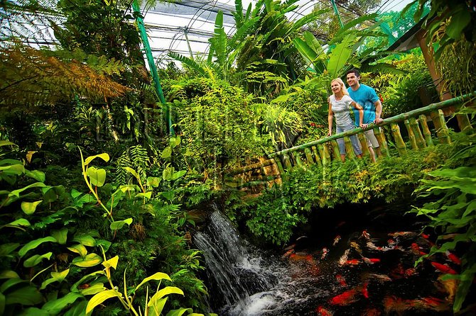 KL Butterfly Park Admission with Kuala Lumpur Famous Landmarks - The insect displays: why they add value even if you do not chase butterflies