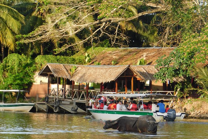 Klias Wildlife Safari River Cruise - Proboscis Monkey & Fireflies - Klias Wetlands: Day river life, night light show