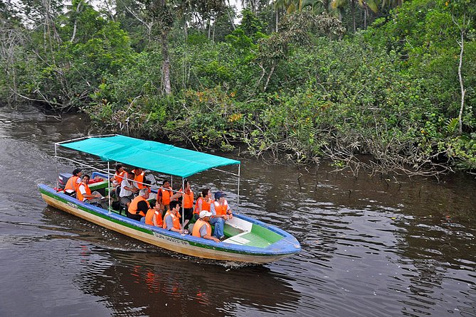 Klias Wildlife Safari River Cruise - Proboscis Monkey & Fireflies - Price and value: What you get for around $81