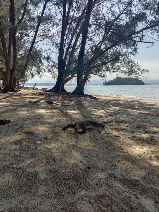 Kota Kinabalu: Manukan & Sapi Islands Snorkeling with Lunch - Speedboats and Safety Briefing: What to Expect on the Water