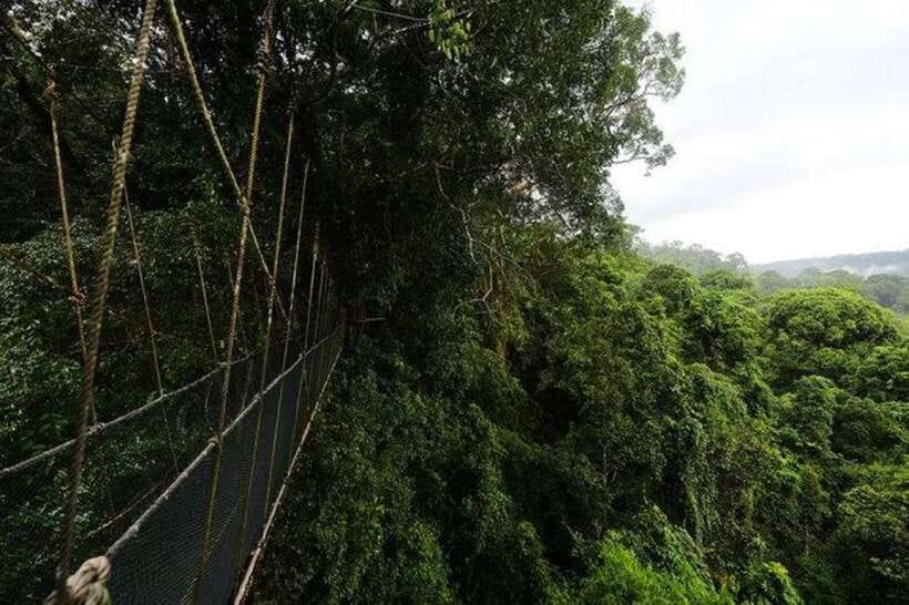 Kota Kinabalu: Private Kundasang and Poring Hot Spring Tour - Entry tickets and transport: built-in value you’d otherwise pay for