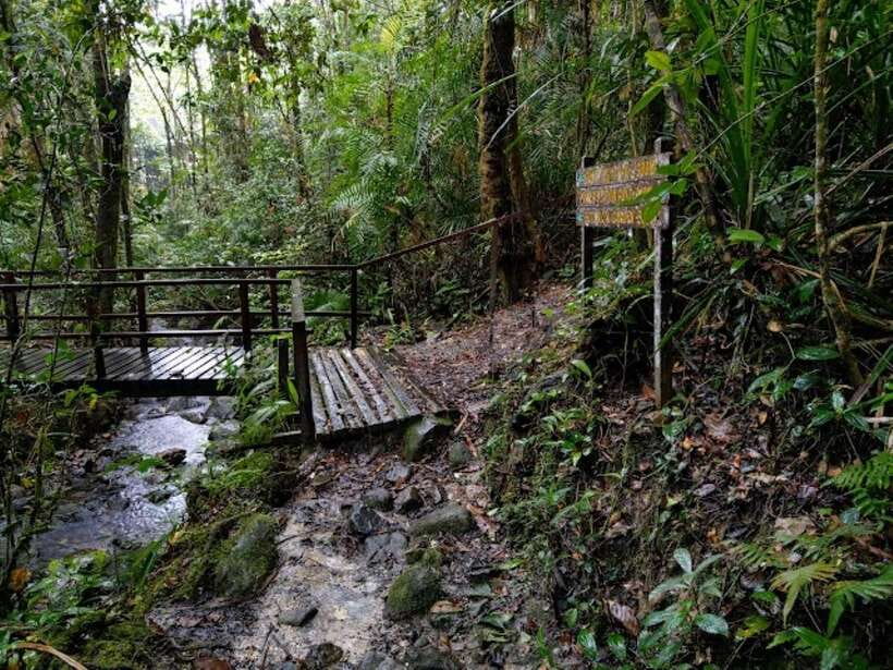 Kota Kinabalu: Private Kundasang and Poring Hot Spring Tour - Poring Hot Springs: relaxation with a small tub fee