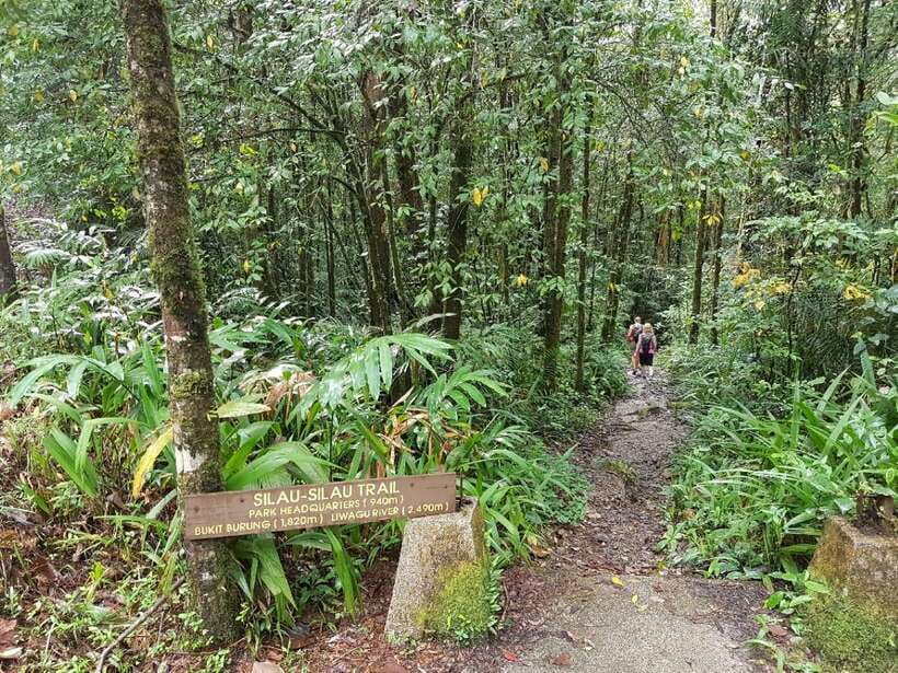 Kota Kinabalu: Private Kundasang and Poring Hot Spring Tour - Guide quality and pacing: why your day can feel different
