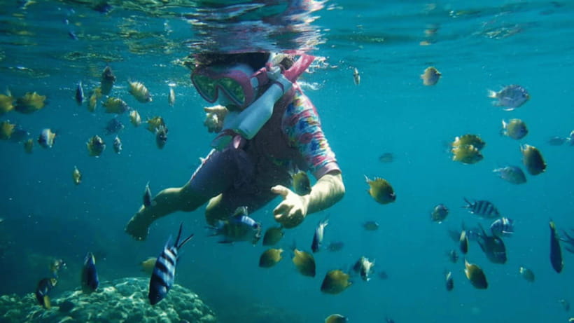 Kota Kinabalu : Snorkeling at Ara Dinawan Private Island - Sunset hopes versus the day schedule