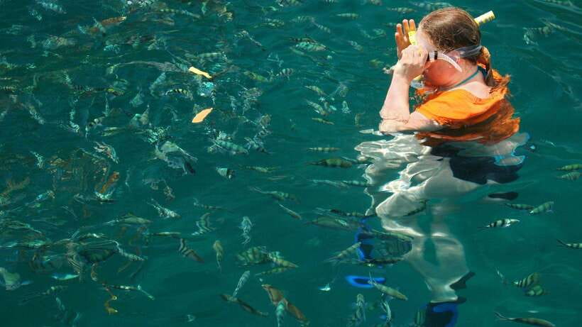Kota Kinabalu: Snorkeling & Island Hopping Sapi & Manukan - Manukan Island afternoon: more space, more facilities