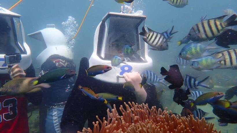Kota Kinabalu: Snorkeling & Island Hopping Sapi & Manukan - Boat rides, marine park views, and what to expect out on the water