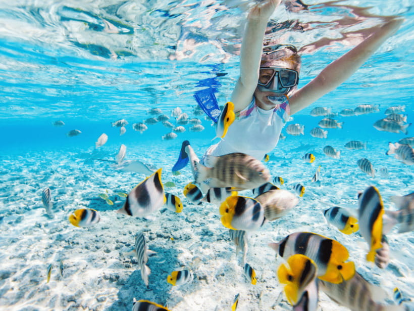 Kota Kinabalu | Snorkeling Sapi Island/Manukan Island - Snorkeling time with included gear, life jackets, and lifeguards