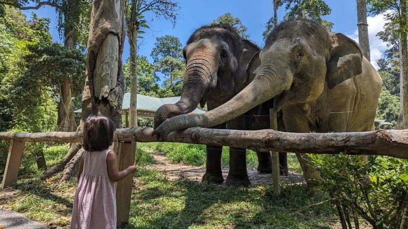 Kuala Lumpur: Batu Caves & Kuala Gandah Elephant Sanctuary - Key highlights worth knowing