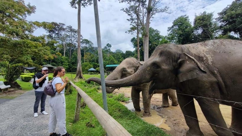 Kuala Lumpur: Batu Caves & Kuala Gandah Elephant Sanctuary - Temple Cave time: how to make the most of a shorter visit
