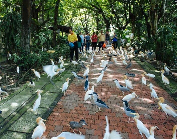 Kuala Lumpur: Bird Park, Butterfly & Garden Private Tour - Perdana Botanical Garden stop, a calm start before the birds