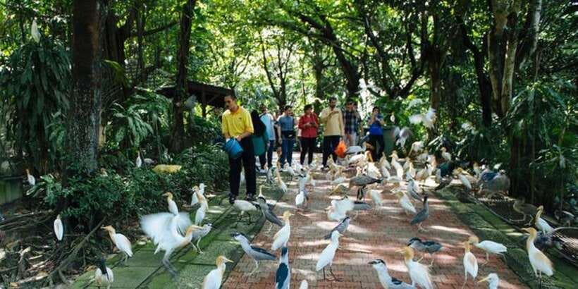 Kuala Lumpur: Bird Park, Butterfly & Garden Private Tour - Orchid and Hibiscus Gardens: 700 varieties, Malaysia’s national flower