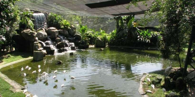 Kuala Lumpur: Bird Park, Butterfly & Garden Private Tour - Pickup and drop-off options that keep you near the action